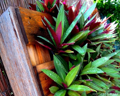 HOW TO CREATE A VERTICAL PALLET GARDEN IN 6 SIMPLE STEPS