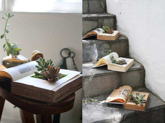DIY Book Planter Succulents